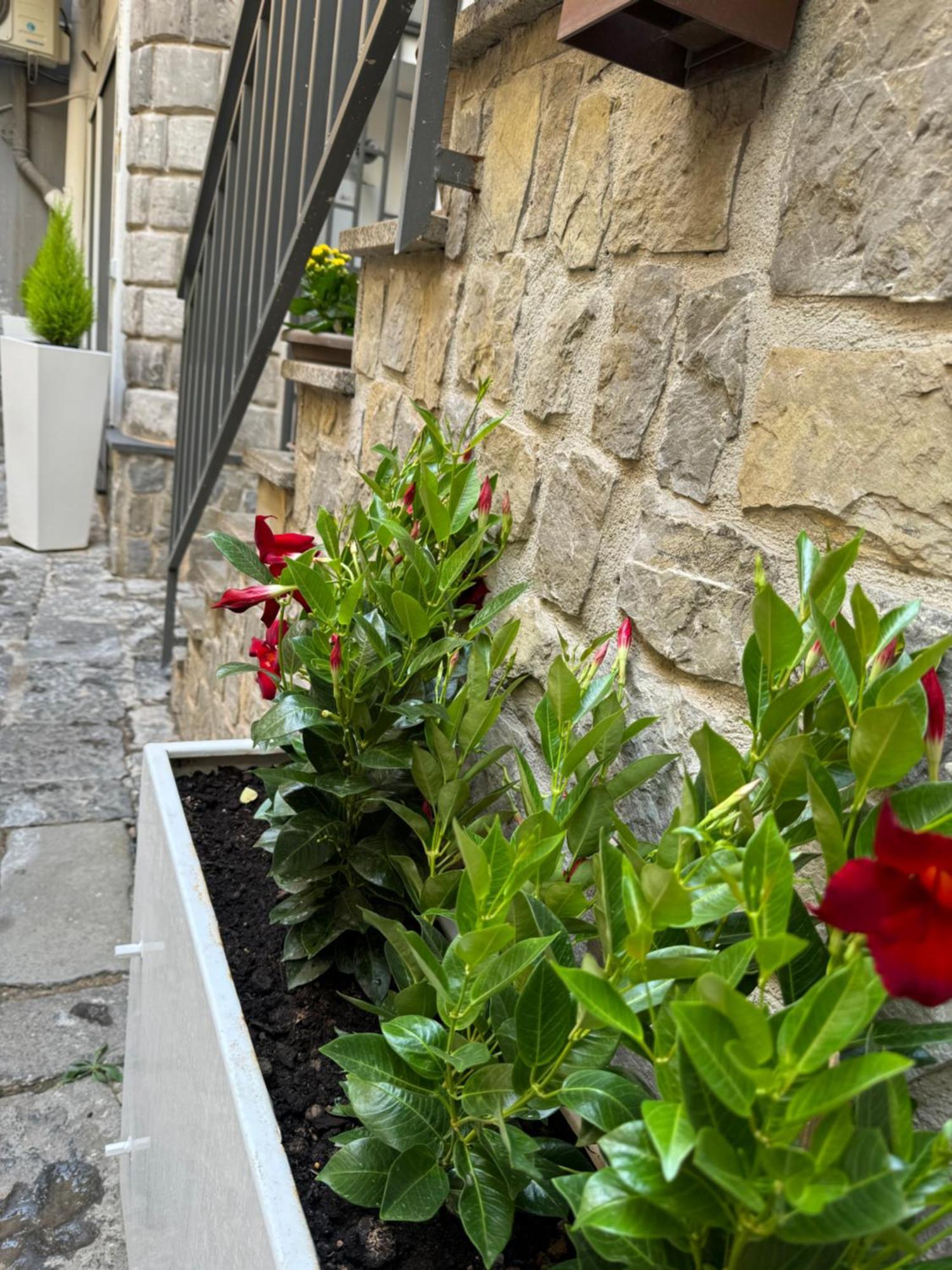 Solimena House 44 Nocera Inferiore Exterior foto